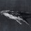 Carta da parati panoramica Humpback Whale Coordonné Nuit 9500102