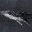 Papeles pintados panorámico Humpback Whale Coordonné Nuit 9500102