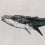 Carta da parati panoramica Humpback Whale Coordonn&eacute; Gris 9500103