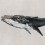 Carta da parati panoramica Humpback Whale Coordonné Gris 9500103