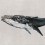 Papeles pintados panorámico Humpback Whale Coordonné Gris 9500103