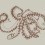 Carta da parati panoramica Octopus X-Ray Coordonné Papirus 9500801