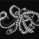 Carta da parati panoramica Octopus X-Ray Coordonné Noir 9500802