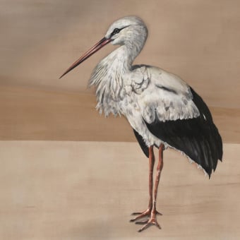 Carta da parati panoramica Stork Mother