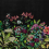 Papier peint panoramique Wild Floral Coordonné Nuit 9500400