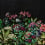 Wild Floral Panel Coordonné Nuit 9500400