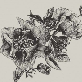 Papier peint panoramique Giant Peonies