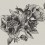 Papeles pintados panorámico Giant Peonies Coordonné Ink 9500700