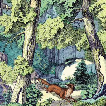 Fond de Forêt et Renard Panel