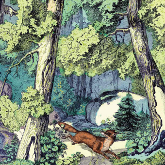 Papier peint panoramique Fond de Forêt et Renard