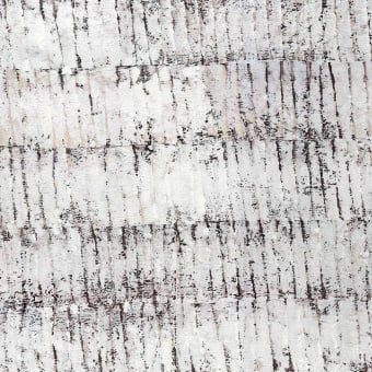 Papier peint panoramique Écorce