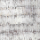 Papier peint panoramique Écorce Isidore Leroy Original 6245201
