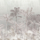 Papier peint panoramique Jardim Botanico Code Light grey C2201 intissé