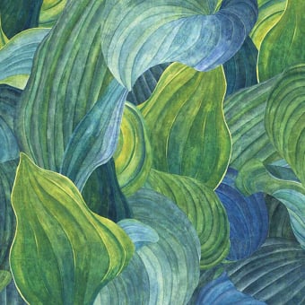 Hosta Panel