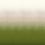 Panoramatapete Shady Masureel Field DG2SHA103