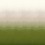 Papier peint panoramique Shady Masureel Field DG2SHA103