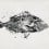 Panoramatapete Poissons Tres Tintas Barcelona Noir M2501-1