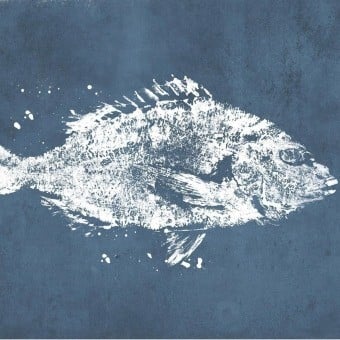 Carta da parati panoramica Poissons