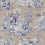 Bengale Wallpaper Manuel Canovas Saphir 03012/03