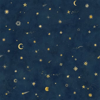 Starry Sky Panel