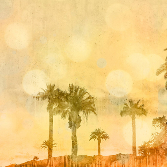 Panoramatapete Palm Oasis