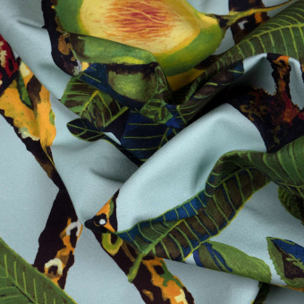 Tucan Fabric