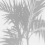 Panoramatapete Palm Shadow Les Dominotiers Grey palm-shadow