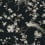 Carta da parati Bird And Blossom Chinoserie York Wallcoverings Black KT2173