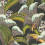 Hoopoe Leaves Wallpaper Cole and Son Black S119-1002