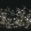 Papier peint panoramique Flowering Vine Chino York Wallcoverings Black KT2264M