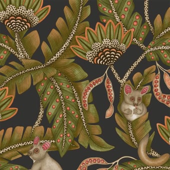 Bush Baby Wallpaper