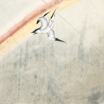 Papier peint panoramique Coucou en vol Cuckoo Etoffe.com x Agence Musées Nationaux