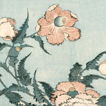 Fleur de pavot dans la brise Panel Pavot Etoffe.com x Agence Musées Nationaux