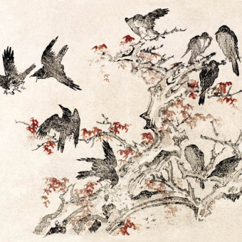 Carta da parati panoramica Oiseaux dans les branches d'un érable