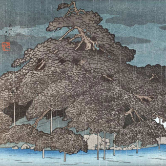 Papier peint panoramique Pluie du soir à Matsunoshima