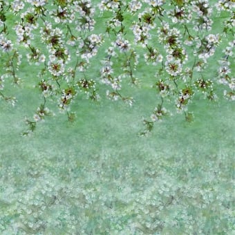 Carta da parati panoramica Assam Blossom