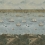 Papier peint panoramique Seaport John Derian Océan PJD6009/01
