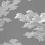 Panoramatapete Nuages Le Grand Siècle Gris souris Nuages-Gris 65x350 cm