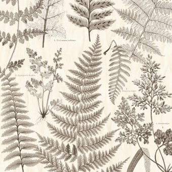 Botanical Wallpaper Beige/Sand/Black Eijffinger