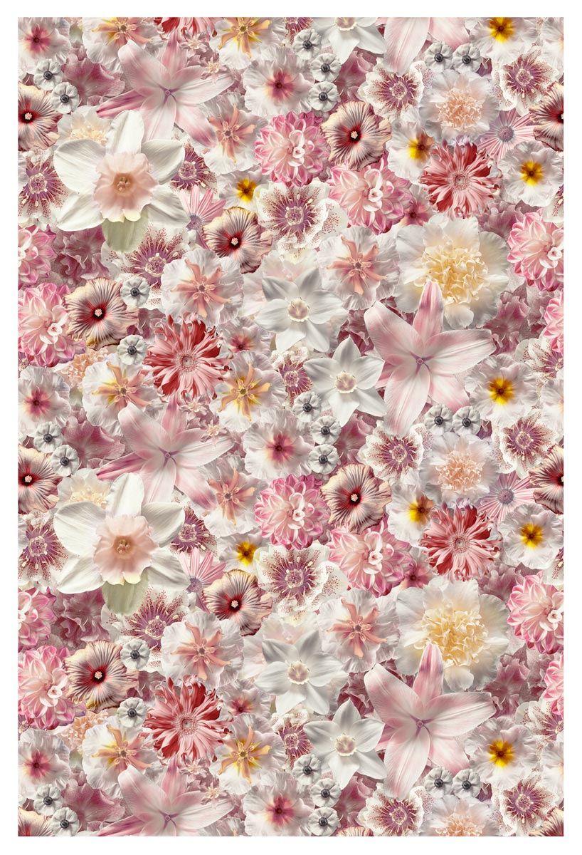 Flowergarden Day Rectangle Rug - MOOOI