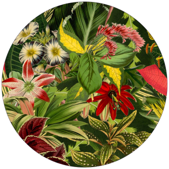 Herbarium of Extinct Plants Round Rug Multicolor MOOOI