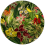 Teppich Herbarium of Extinct Plants Round MOOOI Multicolor S210052