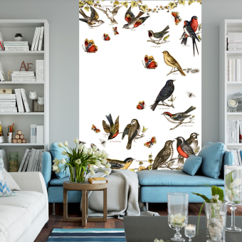 Paneel Oiseaux de nos Campagnes 200x300 cm - 3 lés Maison Images d'Epinal
