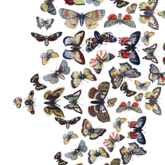 Panoramatapete Envol de Papillons 200x300 cm - 3 lés Maison Images d'Epinal