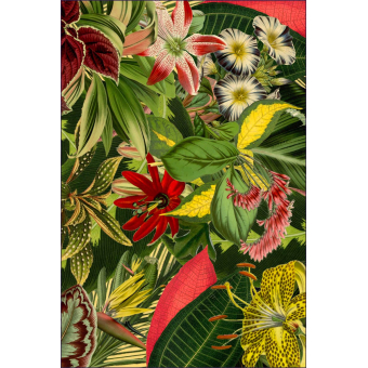 Tappeti Herbarium of Extinct Plants Rectangle Multicolor MOOOI
