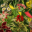 Alfombras Herbarium of Extinct Plants Square MOOOI Multicolor S210054