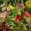 Teppich Herbarium of Extinct Plants Square MOOOI Multicolor S210054