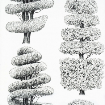 Papel pintado linonaeus