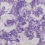 Palasini Wall Wall Covering Designers Guild Plum PDG647/09
