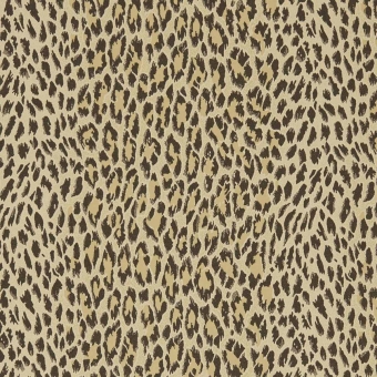 Carta da parati Wild Card